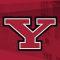 youngstown-state-university