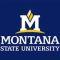montana-state-university