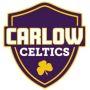 Carlow University