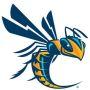 Cedarville University