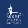 Mount St Mary's University