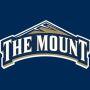 Mount St Mary's University