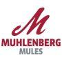 Muhlenberg College