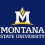 Montana State University