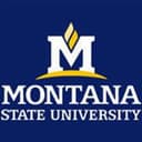 Montana State University